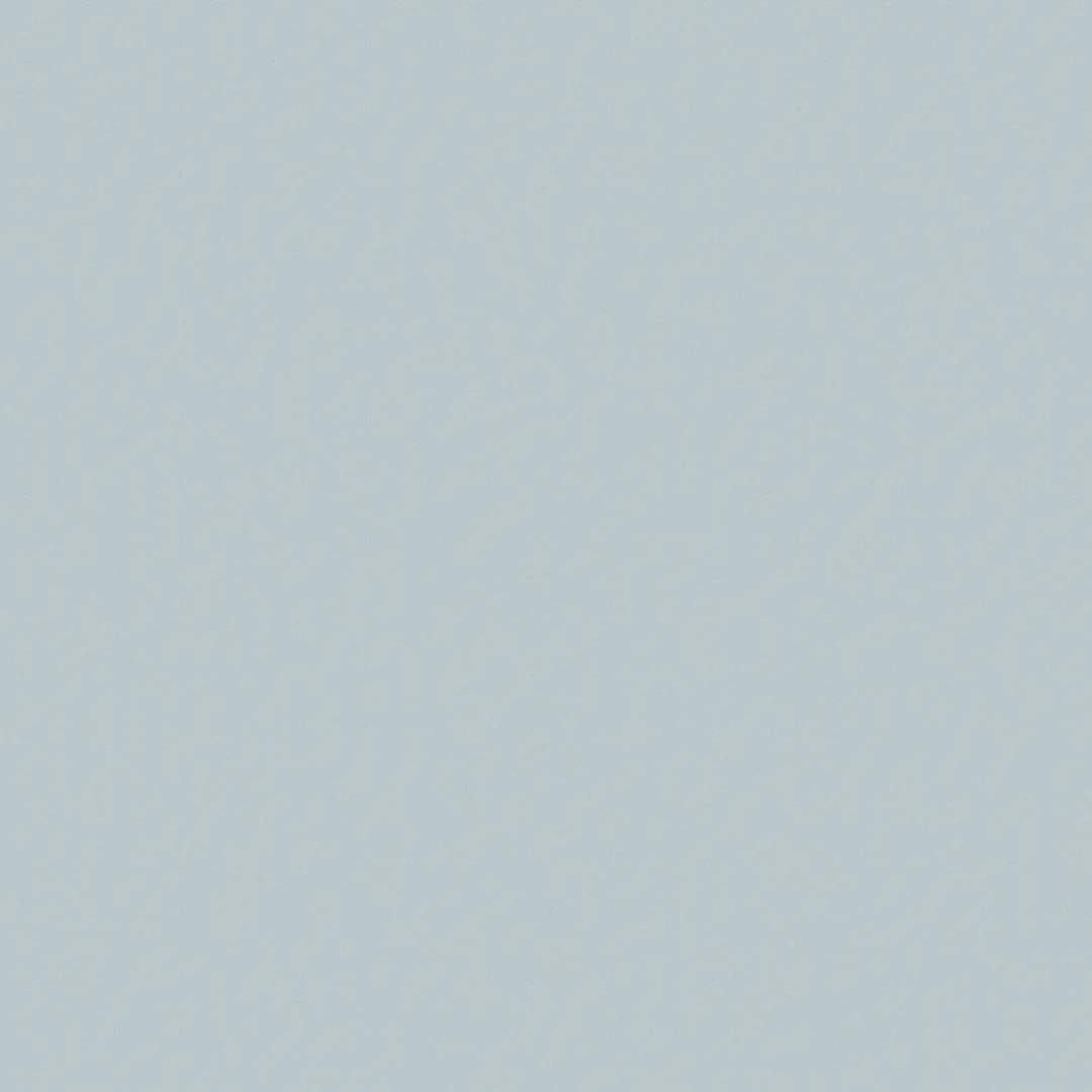 Bluish Grey