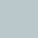 Bluish Grey
