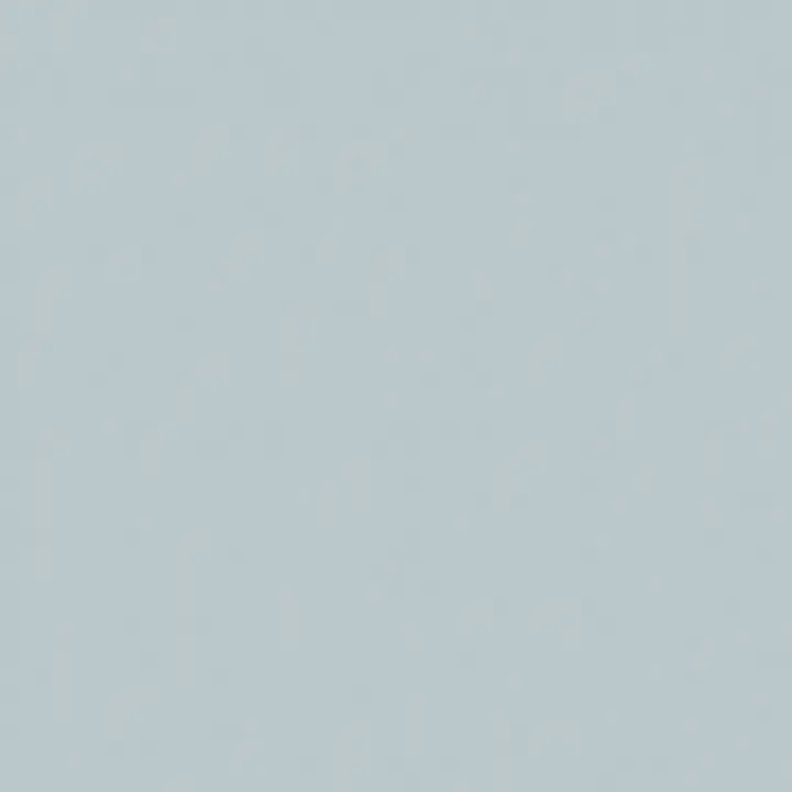Bluish Grey