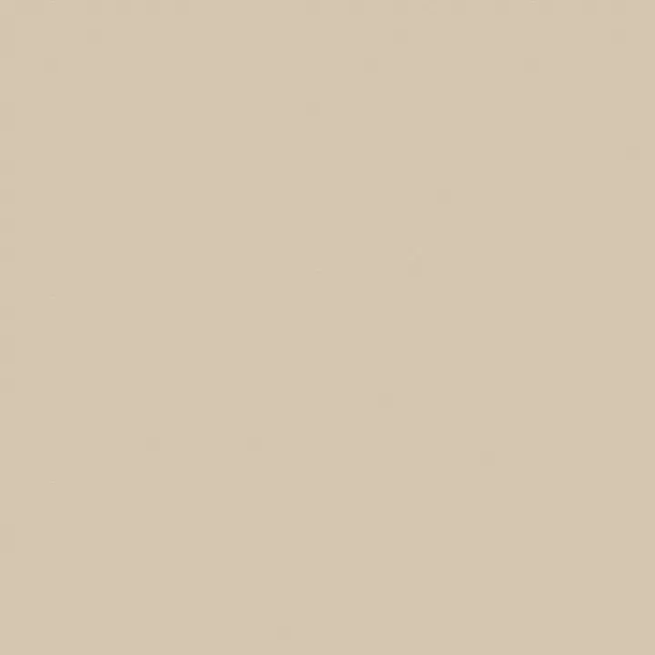 Beige Kaki