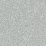 Paris Silver