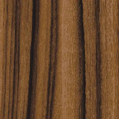 Santos Palisander