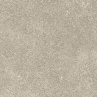Silver Quartzite