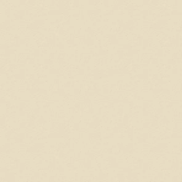Stone Beige