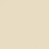 Stone Beige