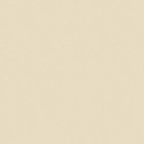 Stone Beige