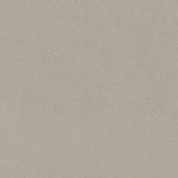 Titanium Silver